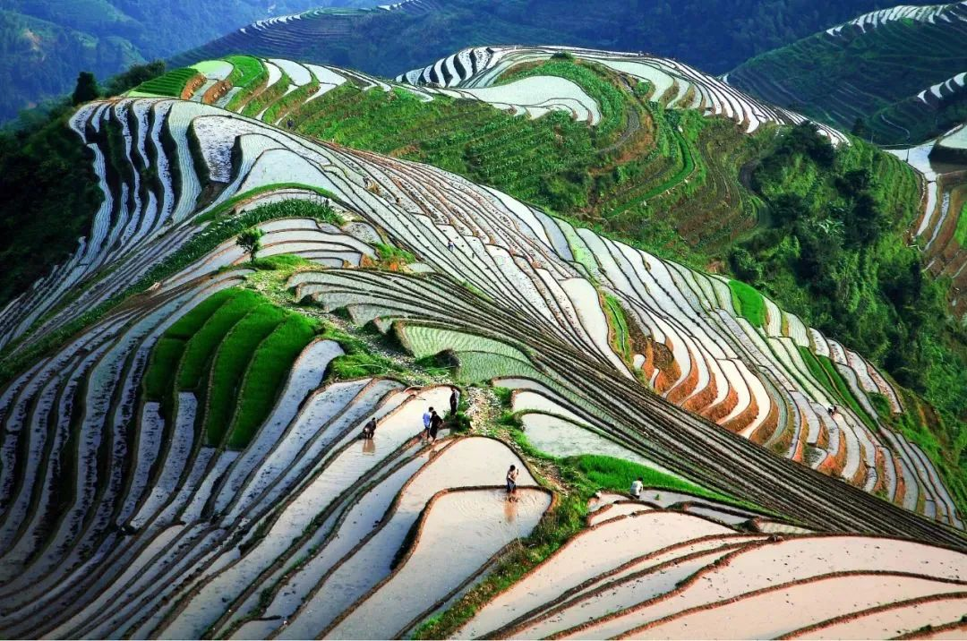 图片4
